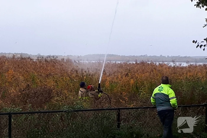 Brandweer doet nog een poging om kat uit boom te halen