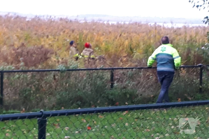 Brandweer doet nog een poging om kat uit boom te halen