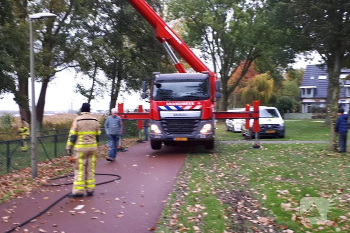 Brandweer doet nog een poging om kat uit boom te halen