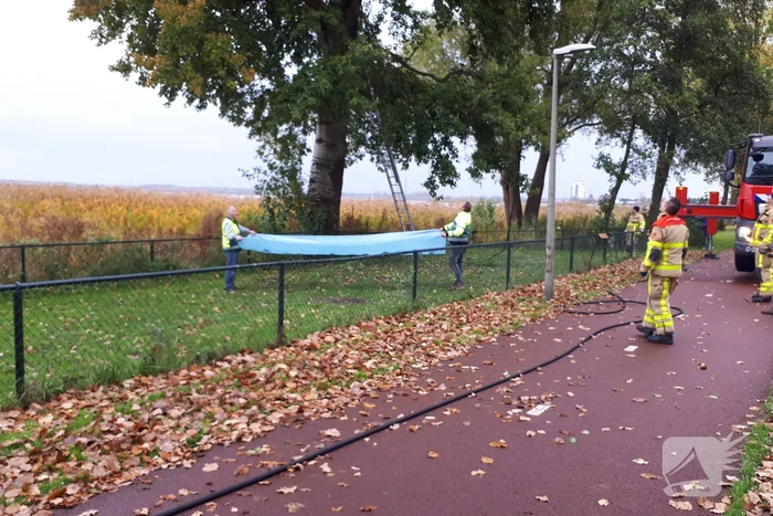Brandweer doet nog een poging om kat uit boom te halen