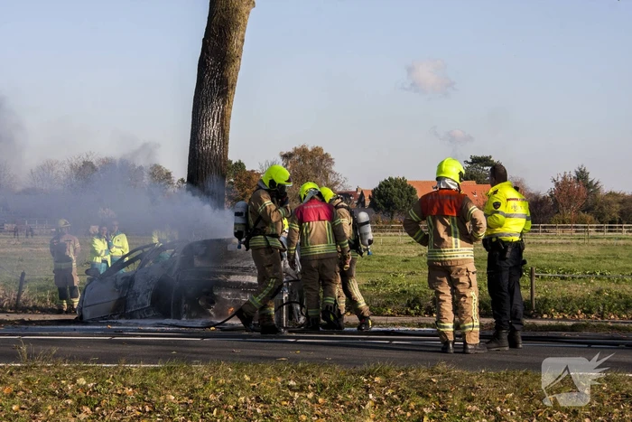 Automobilist komt om bij ernstig ongeval