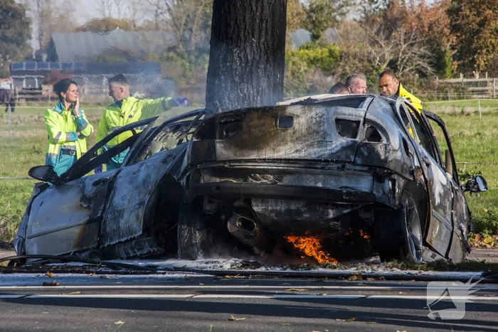 Automobilist komt om bij ernstig ongeval