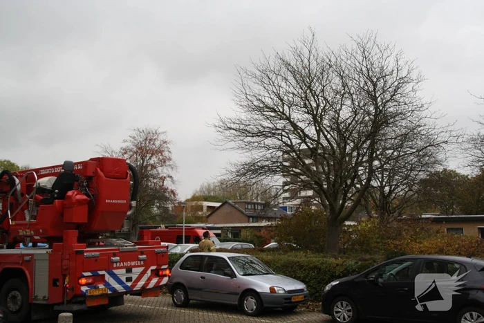 nieuws akeleistraat spijkenisse