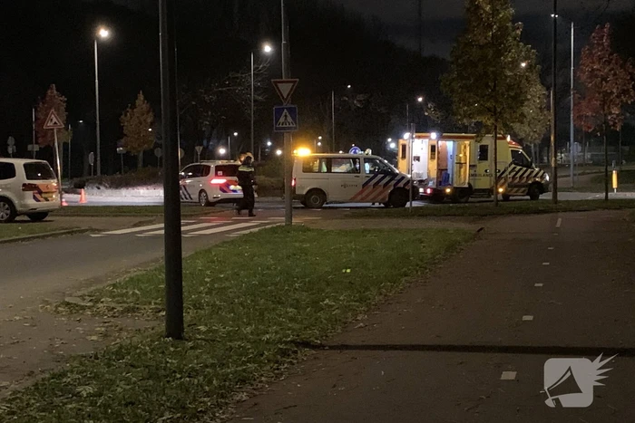 Auto belandt bovenop bosjes op rotonde