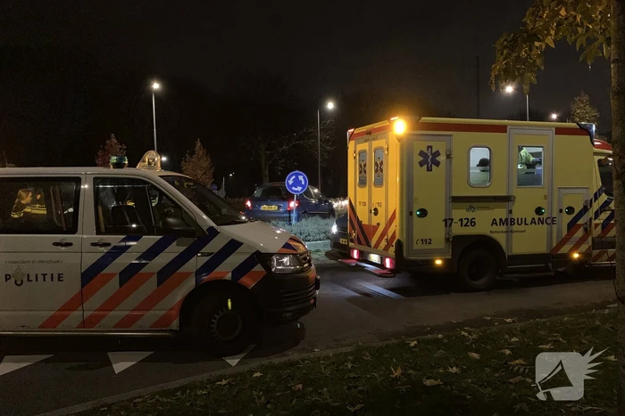 Auto belandt bovenop bosjes op rotonde