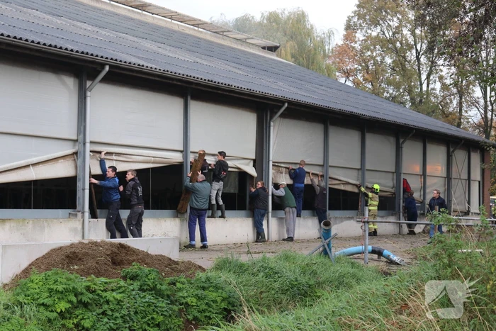 Landbouwmachine vat vlam in stal met 200 koeien
