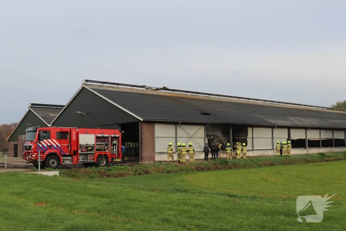 Landbouwmachine vat vlam in stal met 200 koeien