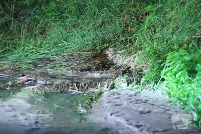 Straat blank na gesprongen waterleiding