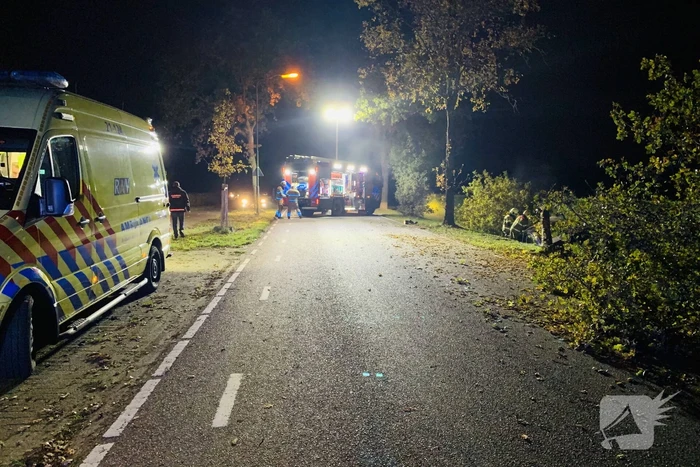 Auto ramt meerdere bomen en belandt in sloot
