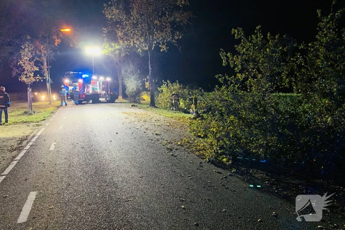 Auto ramt meerdere bomen en belandt in sloot