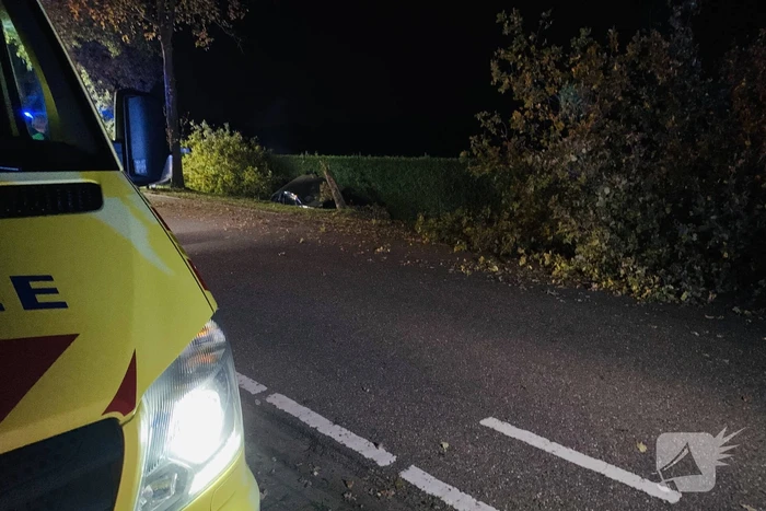 Auto ramt meerdere bomen en belandt in sloot