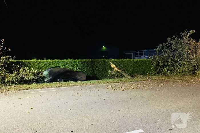 Auto ramt meerdere bomen en belandt in sloot