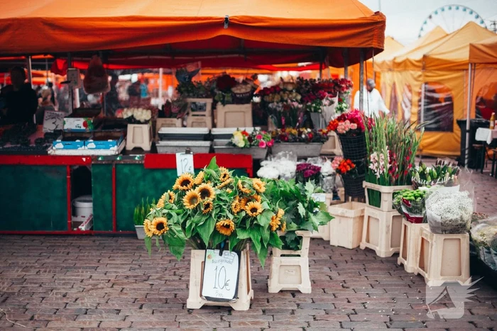 TBS met dwangverpleging tegen messensteker marktkoopman en zoon