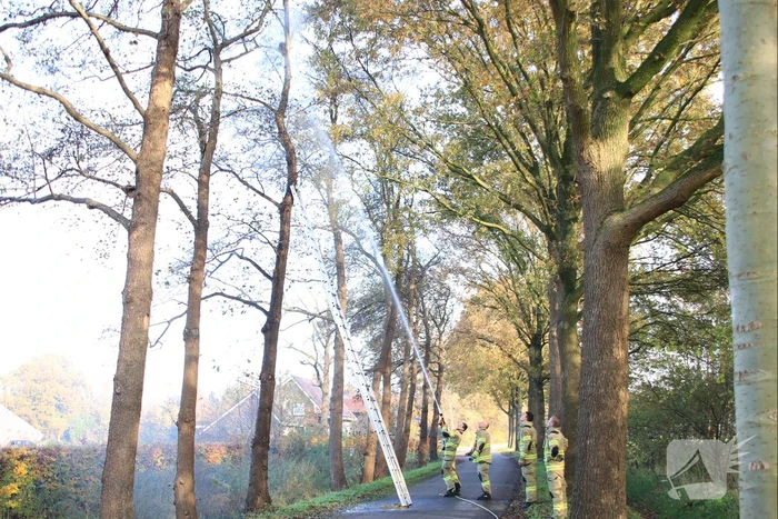 Brandweer spuit kat 'Jochie' uit de boom