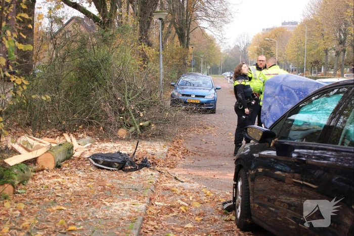 Auto knalt op boom