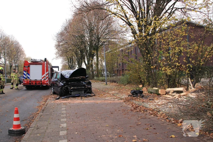 Auto knalt op boom