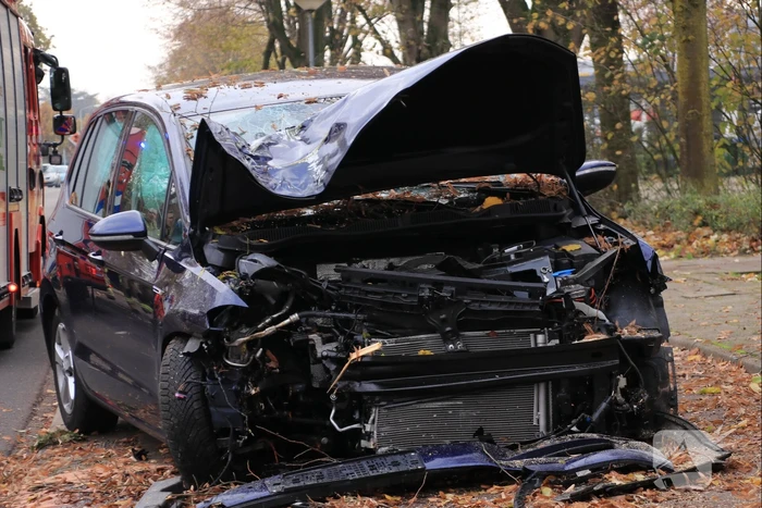 Auto knalt op boom
