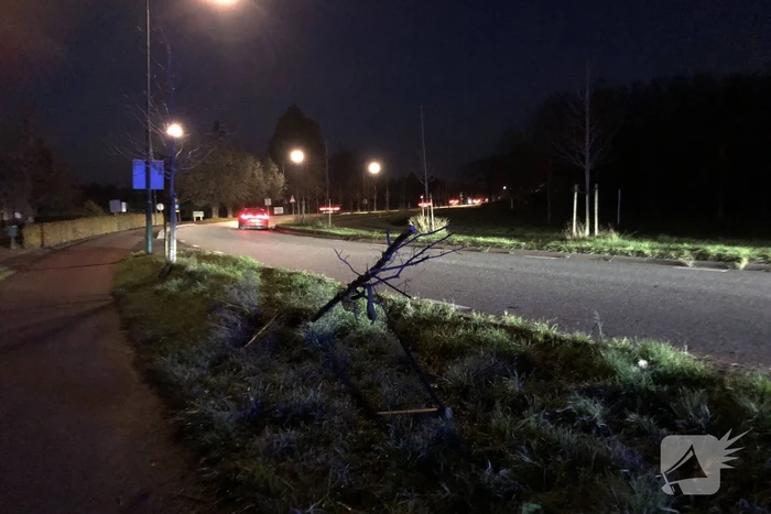 Auto vliegt uit bocht en rijdt tegen twee bomen