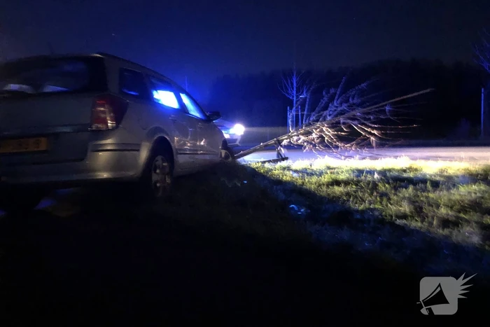 Auto vliegt uit bocht en rijdt tegen twee bomen
