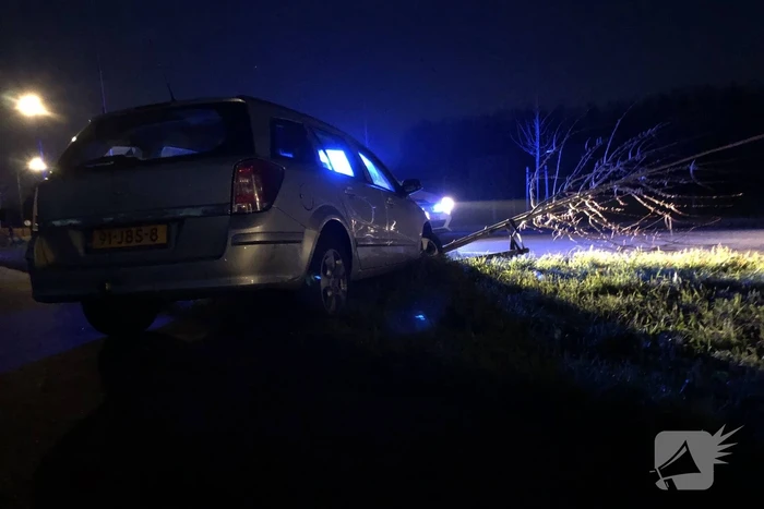 Auto vliegt uit bocht en rijdt tegen twee bomen