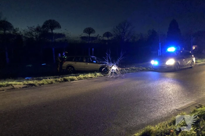 Auto vliegt uit bocht en rijdt tegen twee bomen