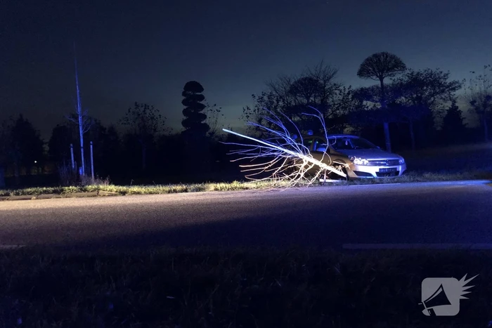 Auto vliegt uit bocht en rijdt tegen twee bomen