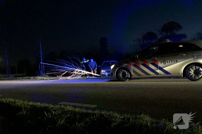 Auto vliegt uit bocht en rijdt tegen twee bomen