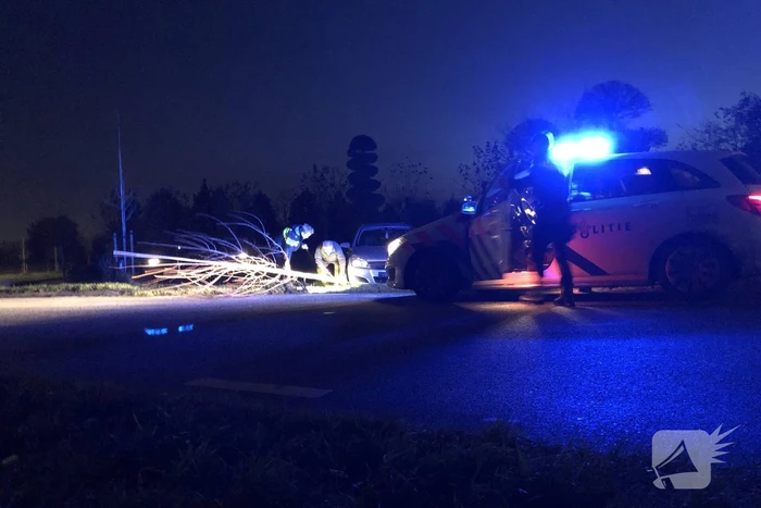 Auto vliegt uit bocht en rijdt tegen twee bomen