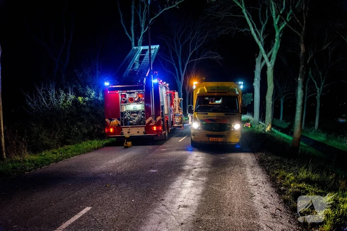 Zwaargewonde na eenzijdige botsing tegen boom