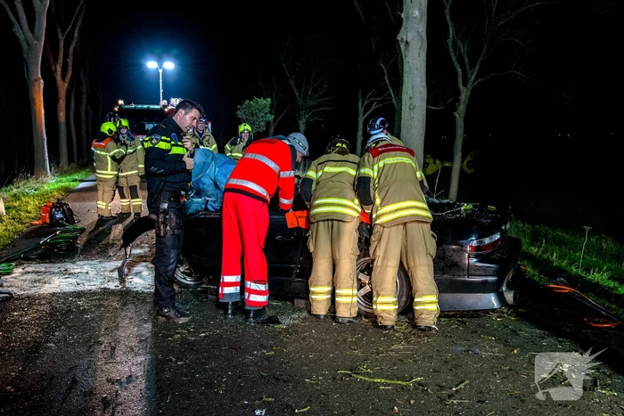 Zwaargewonde na eenzijdige botsing tegen boom