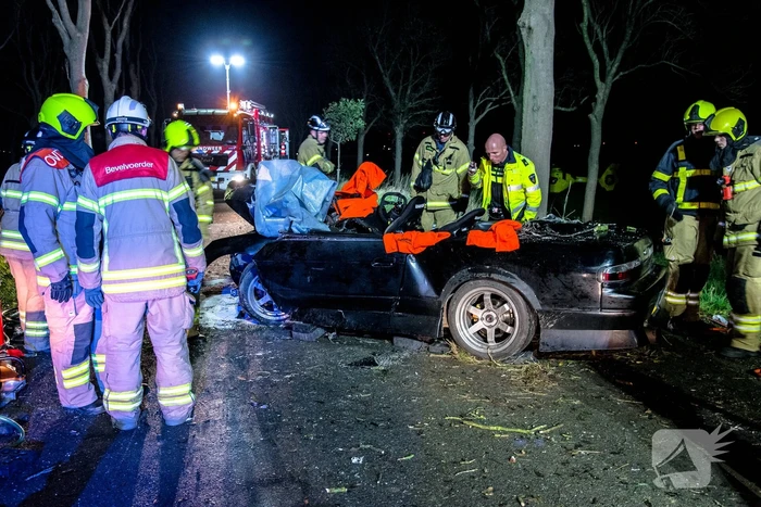Zwaargewonde na eenzijdige botsing tegen boom