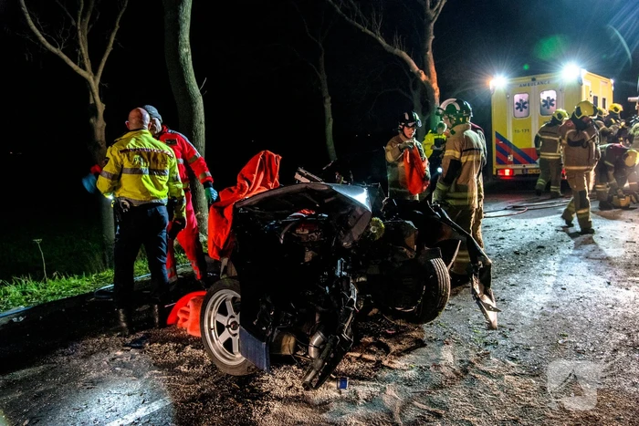 Zwaargewonde na eenzijdige botsing tegen boom