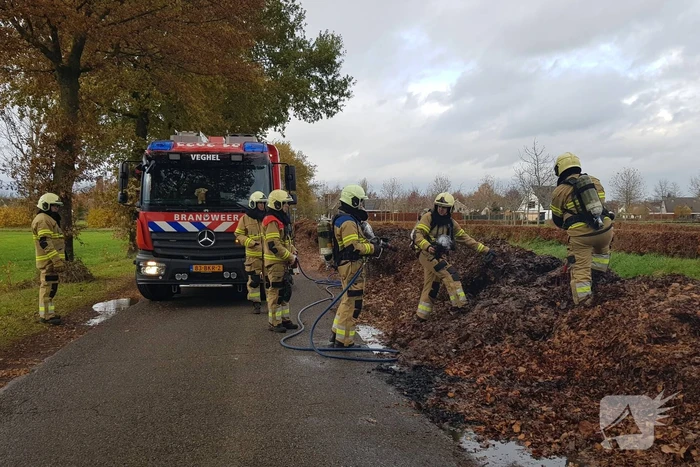 Brand in herfstbladeren door broei