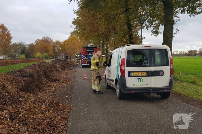 Brand in herfstbladeren door broei