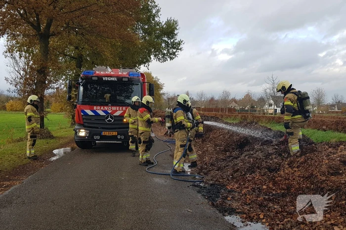 Brand in herfstbladeren door broei