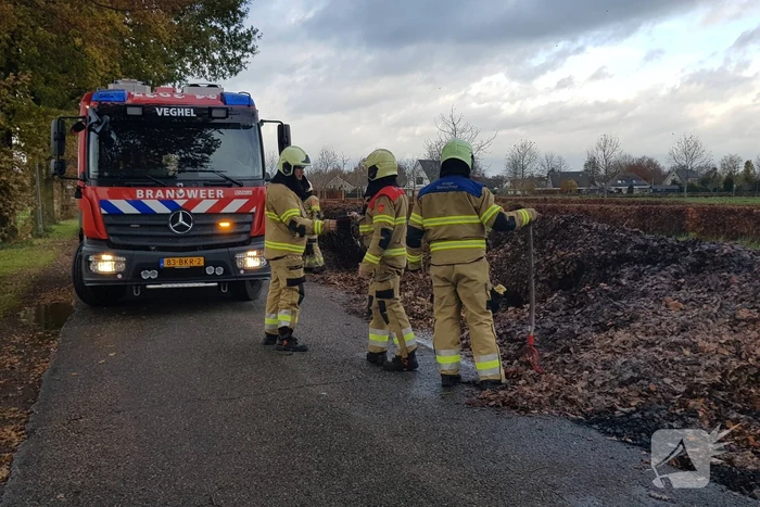 Brand in herfstbladeren door broei
