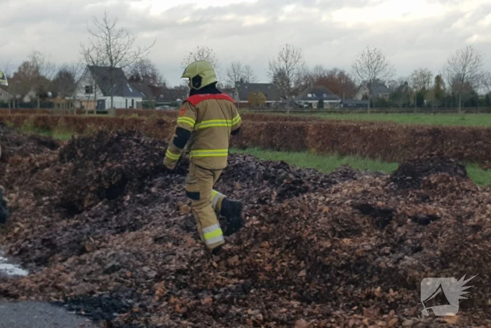 Brand in herfstbladeren door broei