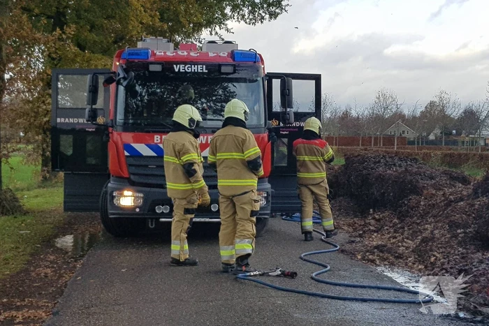 Brand in herfstbladeren door broei