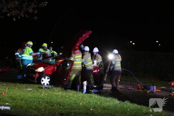 Automobilist rijdt man en kindje dood
