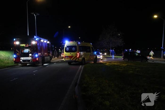 Automobilist rijdt man en kindje dood