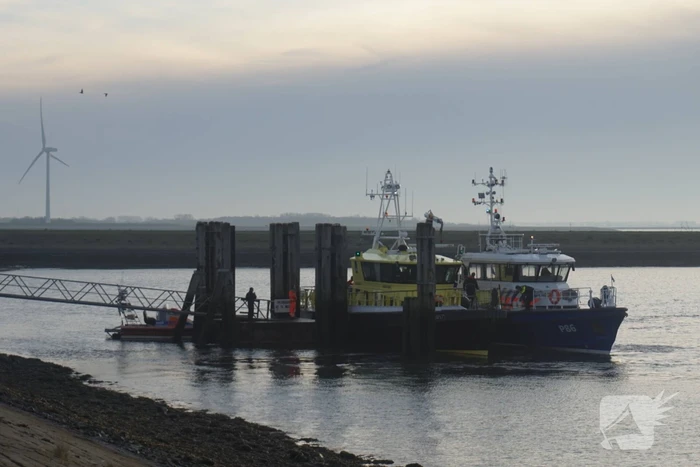 Grote zoekactie na persoon te water Zeelandbrug