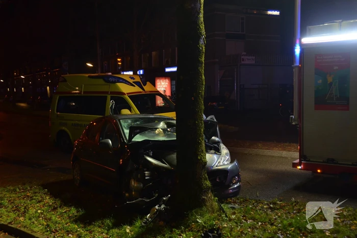Auto botst frontaal op boom