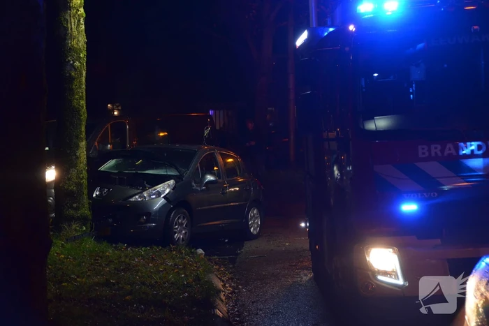 Auto botst frontaal op boom