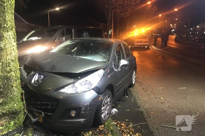 Auto botst frontaal op boom