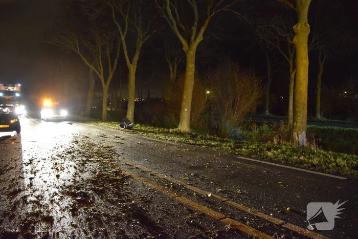 Flinke schade na aanrijding tegen boom
