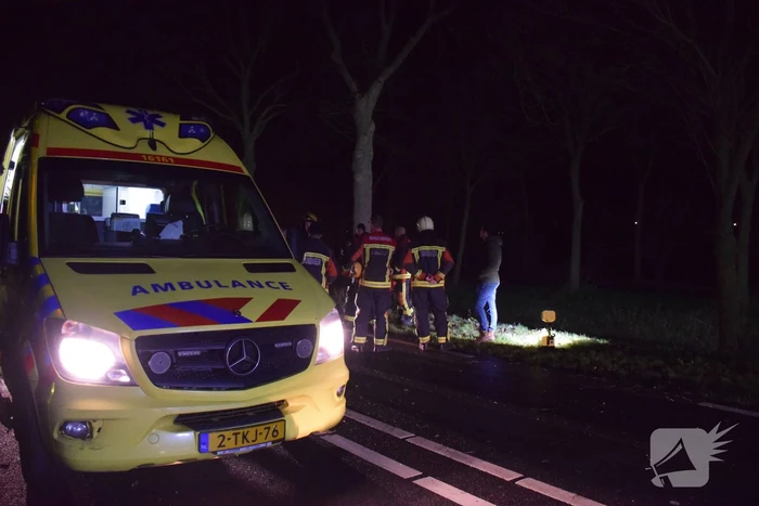 Flinke schade na aanrijding tegen boom