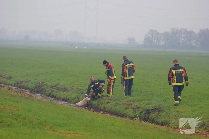 nieuws provincialeweg leiderdorp