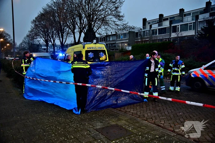 steekincident cromme meth hoogvliet rotterdam