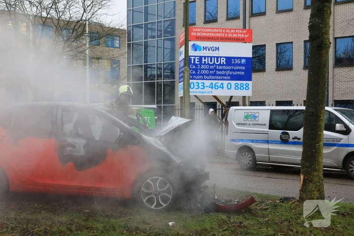 Auto botst op boom en vliegt in brand