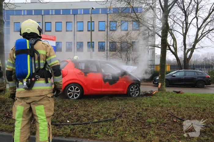 Auto botst op boom en vliegt in brand
